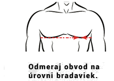 ako zmerat velkost chranicov ramien na hokej